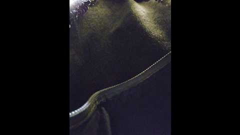 editamilf @ bongacams on 20251007