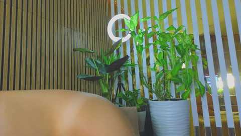 mialiahot @ bongacams on 20251007