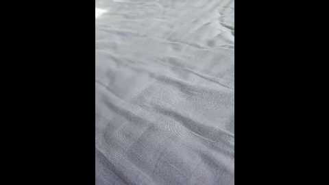 dii_6 @ bongacams on 20251008