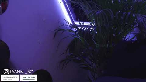 taanni @ bongacams on 20251008