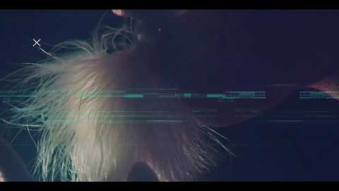 taanni @ bongacams on 20251008