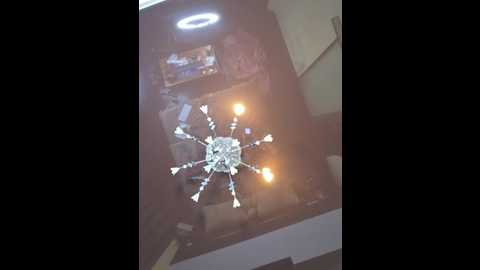 hairycrotch @ bongacams on 20251009