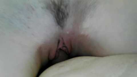 sexyfoxy04 @ bongacams on 20251010