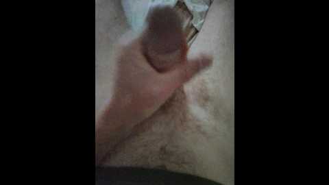 super_couple @ bongacams on 20251010