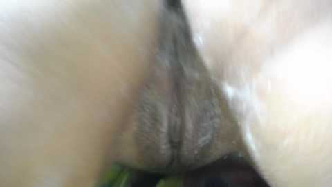 emilyvalencia @ bongacams on 20251011