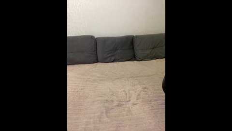 sweet775 @ bongacams on 20251011