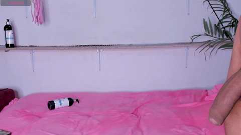 3loverlive1 @ bongacams on 20251012