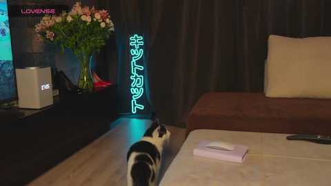 sara_ @ bongacams on 20251012