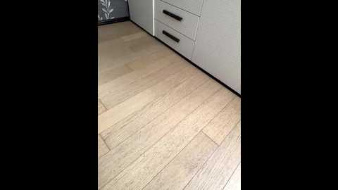 dii_6 @ bongacams on 20251013