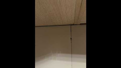 kisa_gav @ bongacams on 20251013