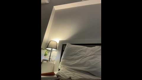 markaa0 @ bongacams on 20251013