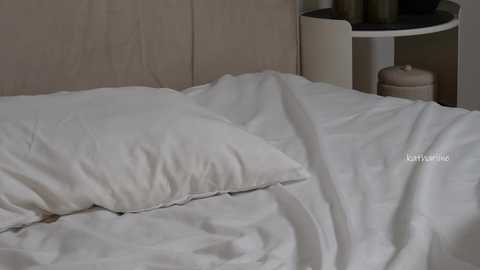 kathariine @ bongacams on 20251015