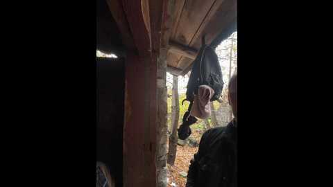 tr1xie @ bongacams on 20251015