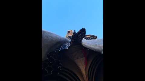 divora @ bongacams on 20251017