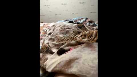 devochka1010 @ bongacams on 20251018