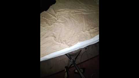 sweetpra @ bongacams on 20251018