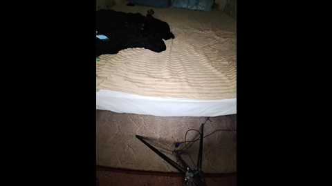 sweetpra @ bongacams on 20251018