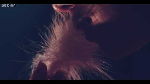 taanni @ bongacams on 20251018