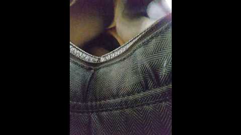 editamilf @ bongacams on 20251019