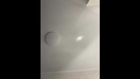 nicol @ bongacams on 20251019