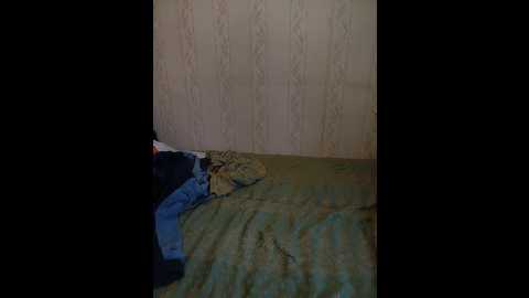 totodasha @ bongacams on 20251019