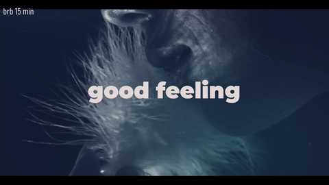 taanni @ bongacams on 20251020