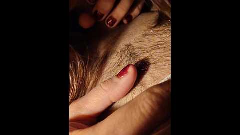 loveorbit @ bongacams on 20251021