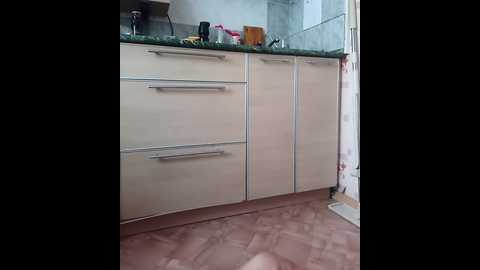 doktorgirl @ bongacams on 20251022