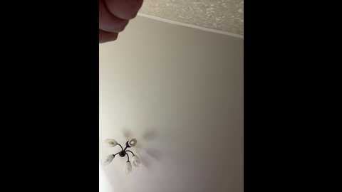 hellmor @ bongacams on 20251023