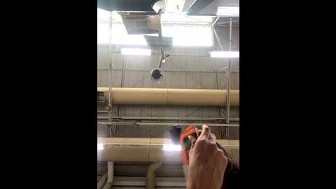 sallyeleins @ bongacams on 20251024