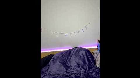 alissalexx @ bongacams on 20251026