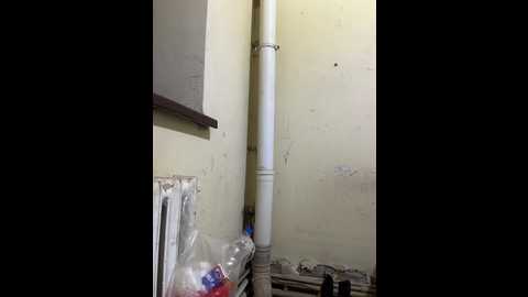 harmonyx @ bongacams on 20251026