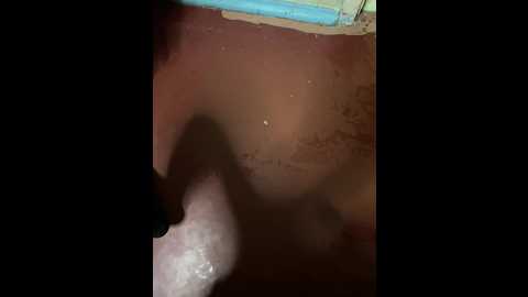 fregidaaa @ bongacams on 20251029