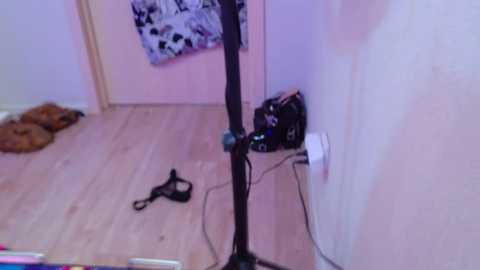 night_angell @ bongacams on 20251029