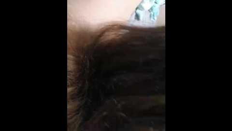 anastasia0000 @ bongacams on 20251030