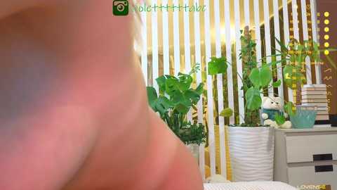 mialiahot @ bongacams on 20251030