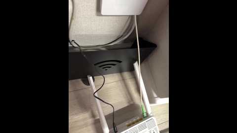 olivkavif @ bongacams on 20251030