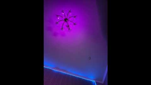 adel9 @ bongacams on 20251031