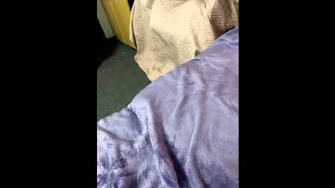 alissalexx @ bongacams on 20251031