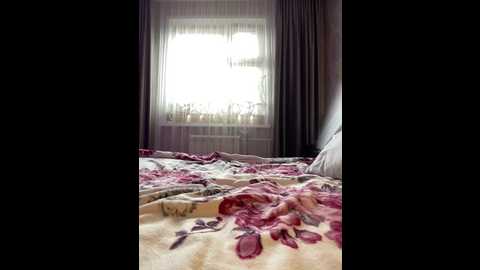 palmiira @ bongacams on 20251031