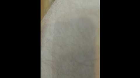 pechalka @ bongacams on 20251031