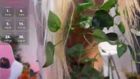 sakupandora @ bongacams on 20251031