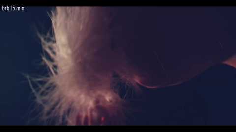 taanni @ bongacams on 20251031