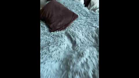 sexpantera @ bongacams on 20251101