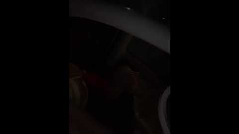 sallyeleins @ bongacams on 20251102