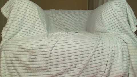 squikt @ bongacams on 20251102