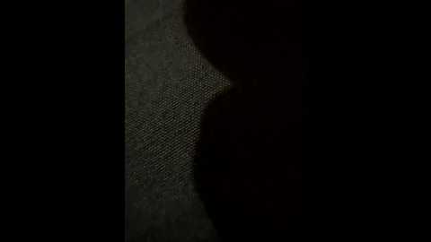 vika_62 @ bongacams on 20251102