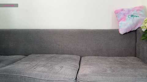 flyingdutchmana @ bongacams on 20251103