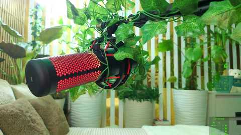 mialiahot @ bongacams on 20251103