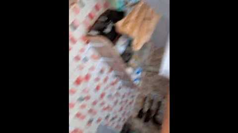 murr_kitty @ bongacams on 20251103